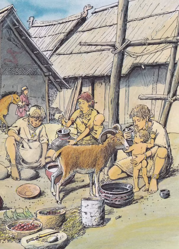 Tiến sĩ Julie Dunne thuộc Viện Khảo cổ học phương Đông và châu Âu cho biết: "Những chiếc bình đựng sữa cho trẻ em này đầu tiên xuất hiện ở châu Âu vào thời kỳ đồ đá mới (cách đây hơn 5.000 năm trước), sau đó nó trở nên phổ biến hơn trong suốt thời kỳ đồ đồng và đồ sắt". Ảnh: @Viện Hàn lâm Khoa học Áo.