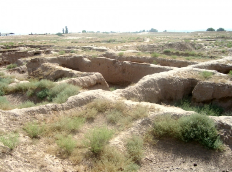 Khu định cư này có niên đại từ thế kỷ thứ 3 Trước Công Nguyên. Ảnh: @Viện Hàn lâm Khoa học Uzbekistan.