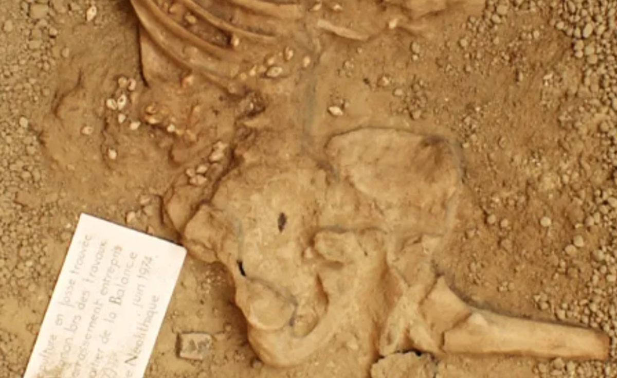 Sử dụng kỹ thuật laser 3D, các nhà nghiên cứu đã có thể xác định được bộ quần áo mà thi thể người đàn ông này được khoác vào khi chôn cất. Ảnh: @Đại học Bordeaux Montaigne.