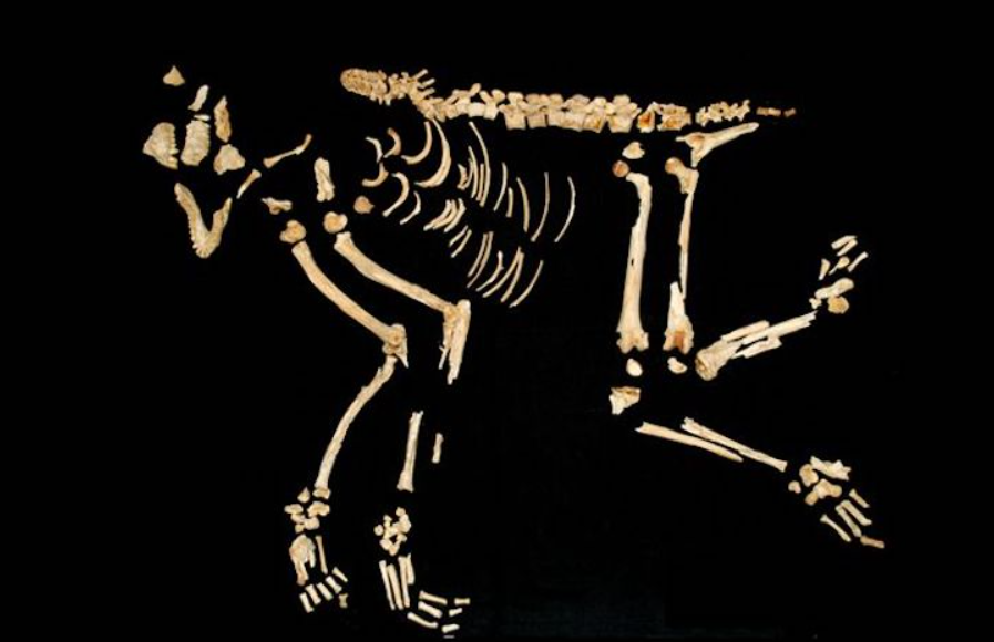 Và khỉ cũng được coi là biểu tượng địa vị trong giới thượng lưu thời bấy giờ. Ảnh: @Cơ Quan Cổ Vật Iran.