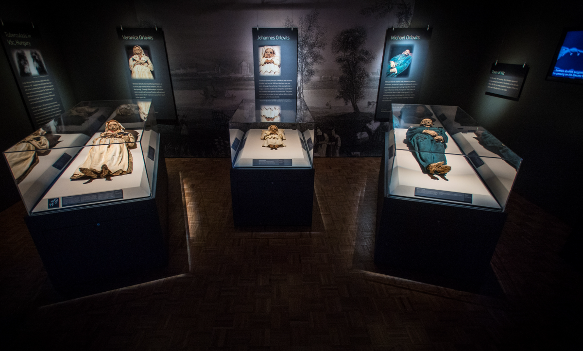 Các nhà nghiên cứu hy vọng rằng, việc phân tích tiếp tục sẽ khám phá thêm chi tiết về cuộc sống và địa vị của cá nhân này, cũng như bối cảnh văn hóa và xã hội rộng lớn hơn của thời đại đó. Ảnh: @Bộ Văn hóa Ý.