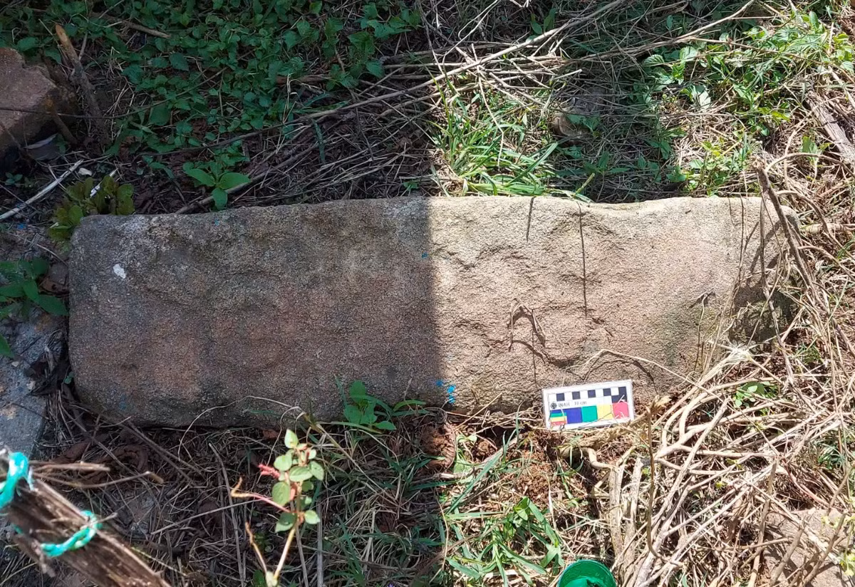 Tại hiện trường khu phức hợp này, các chuyên gia tìm thấy các hình khắc bí ẩn của người bản địa và tàn tích kiến ​​trúc quy mô lớn. Ảnh: @Viện Nhân chủng học và Lịch sử Quốc gia Mexico.