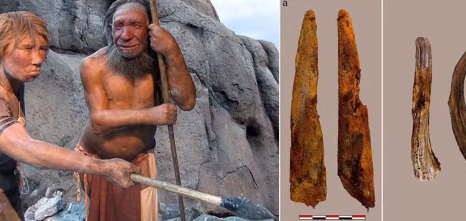 Chúng được chế tạo bởi người Neanderthal cổ xưa. Ảnh: @Bảo tàng Quốc gia Tây Ban Nha.