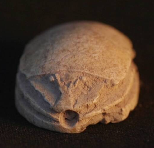 Theo Tiến sĩ Daphna Ben-Tor, trong thời kỳ này, họa tiết, hình tượng bọ hung được sử dụng trong các con dấu và bùa hộ mệnh. Chúng được tìm thấy trong các ngôi mộ, các tòa nhà công cộng và nhà riêng. Đôi khi chúng mang những biểu tượng và thông điệp phản ánh tín ngưỡng tôn giáo hoặc địa vị xã hội. Ảnh: @Cơ Quan Cổ Vật Israel.