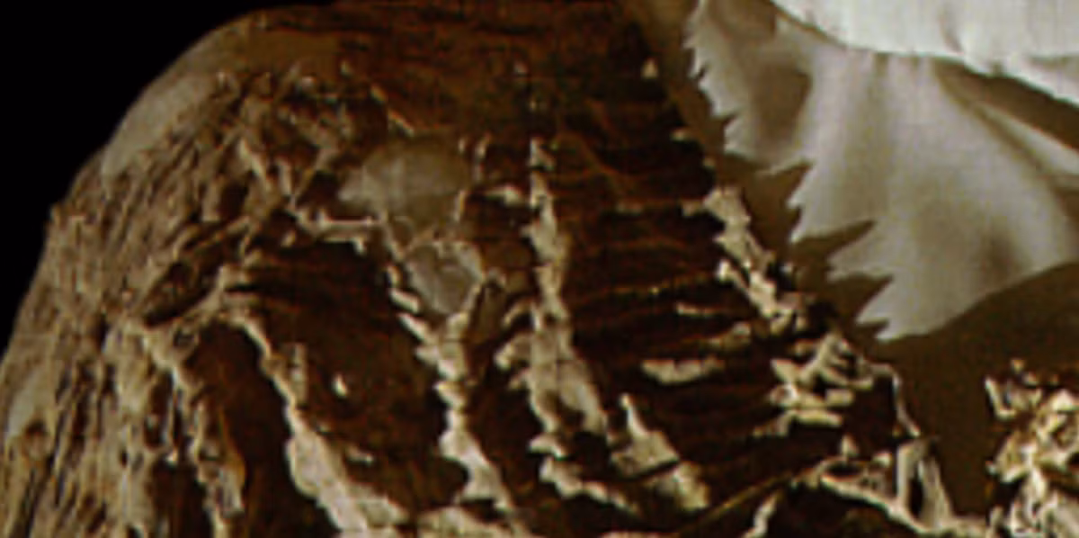 Chiếc áo có cổ chữ V kín đáo này được làm từ ba mảnh vải lanh dệt tay (Linum usitatissimum). Ảnh: @Sir Flinders Petrie.