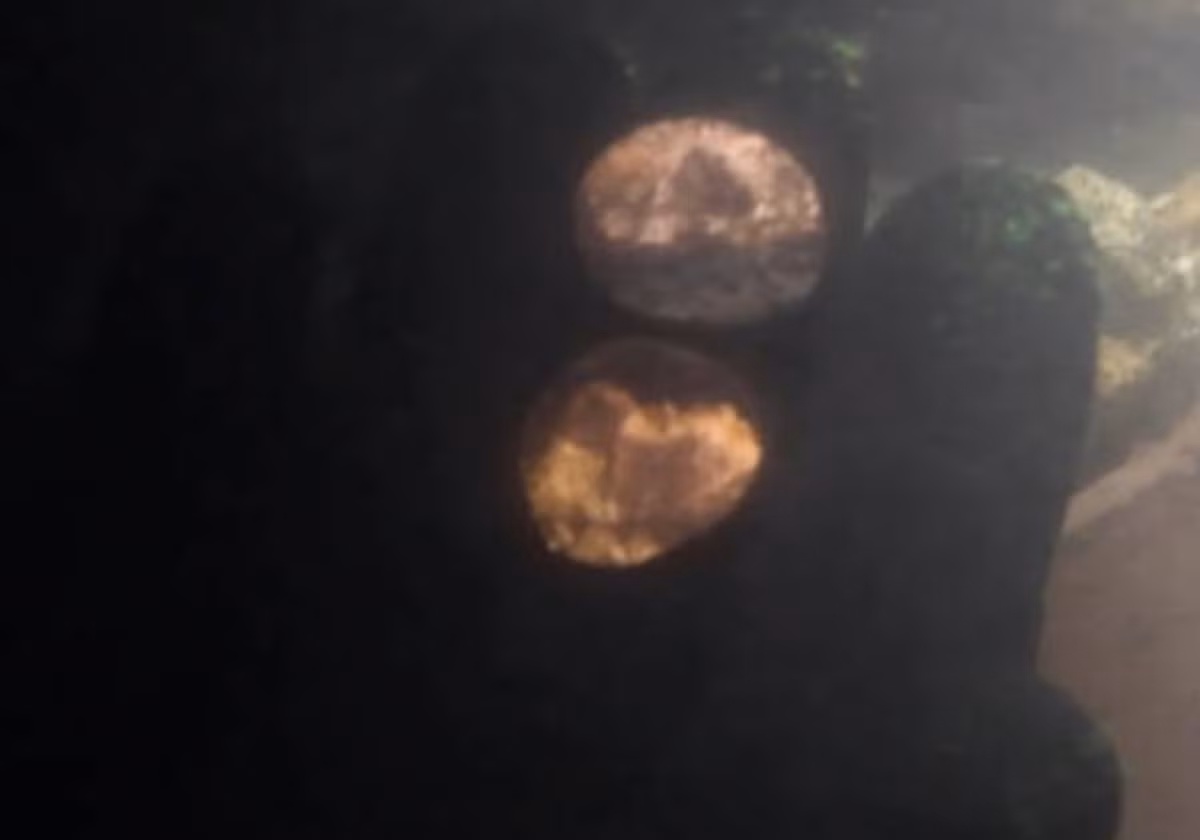 Thậm chí, họ còn hy vọng sẽ tìm thấy được chiếc "rương kho báu" từng cất giữ chúng. Ảnh: @Lionel ROUX_CCJ-(CNRS-AMU).