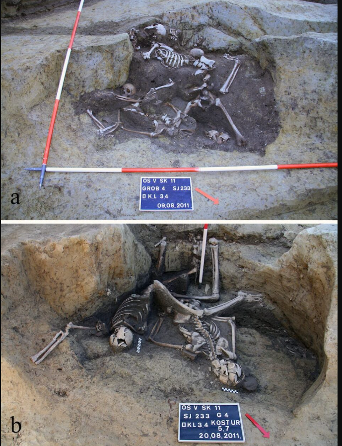 Một nhóm nghiên cứu quốc tế đã kết luận rằng, những người này rất có thể là binh lính La Mã cổ đại, họ chính là nạn nhân của một trận chiến Mursa hoặc cuộc hành quyết tập thể diễn ra vào khoảng năm 260 Sau Công Nguyên, một trong những thời kỳ hỗn loạn nhất của Đế chế La Mã, được gọi là Cuộc khủng hoảng thế kỷ thứ ba. Ảnh: @M. Novak và cộng sự.