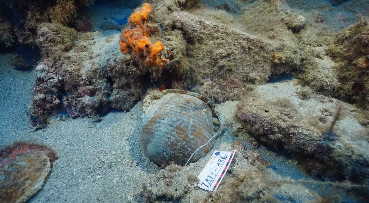 Bến neo đậu này được xác định khá chuẩn xác bởi nó đáp ứng được một số tiêu chí được biết đến từ các sách hướng dẫn hàng hải cổ đại và các bằng chứng khảo cổ học tương đồng. Ảnh: @Bộ Văn hóa và Du lịch Thổ Nhĩ Kỳ.