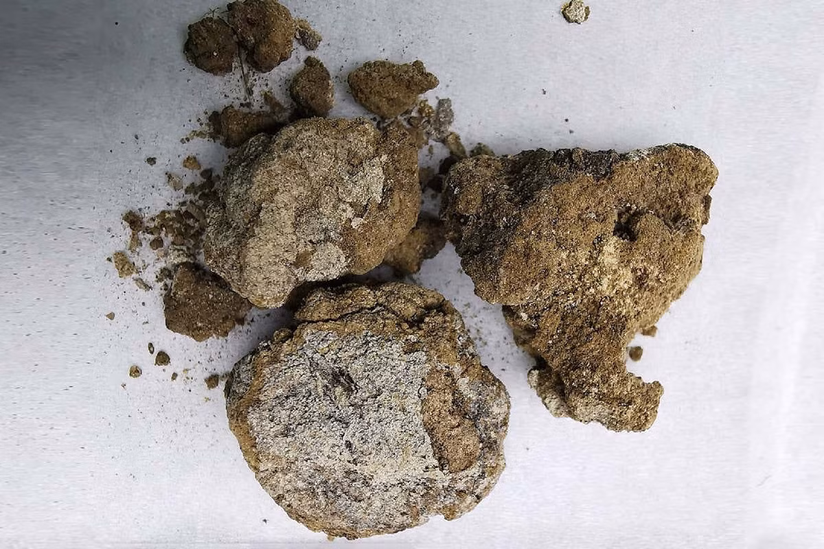 Khi mở lọ trong điều kiện phòng thí nghiệm, người ta phát hiện bên trong có chứa những cục vật liệu màu trắng hơi vàng. Chất này đã được phân tích bằng nhiều công nghệ khác nhau, bao gồm khối phổ, nhiễu xạ tia X, phân tích đồng vị, chiết axit và kính hiển vi điện tử quét. Ảnh: @Han B, Chong J, Sun Z, và cộng sự.