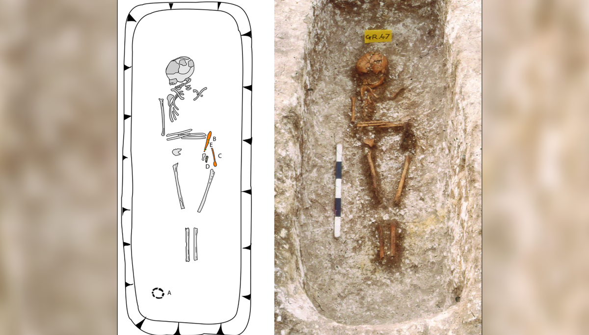 Cụ thể, các chuyên gia đã tiến hành thăm dò, nghiên cứu, phân tích ADN của khoảng 310 bộ hài cốt cổ, chủ yếu thông qua phần xương và răng. Ảnh: @Bảo Tàng Quốc Gia Argentina.