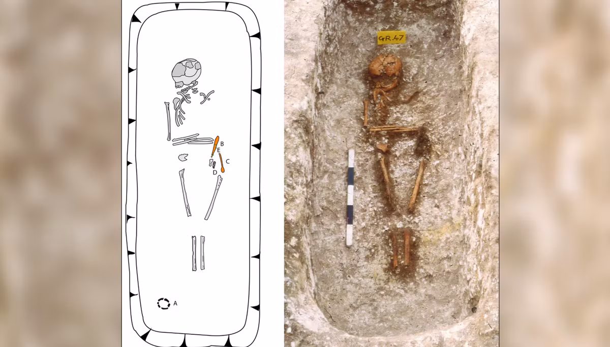 Cụ thể, các chuyên gia đã tiến hành thăm dò, nghiên cứu, phân tích ADN của khoảng 310 bộ hài cốt cổ, chủ yếu thông qua phần xương và răng. Ảnh: @Bảo Tàng Quốc Gia Argentina.