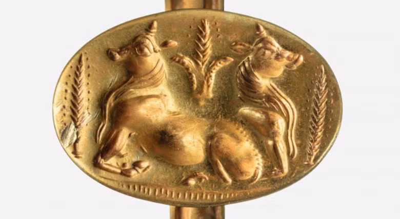 Trong số những phát hiện này có một chiếc nhẫn vàng khắc hình con bò đực được bao quanh bởi những bó lúa mạch, và một chiếc vòng cổ khắc hình nữ thần Hathor của Ai Cập. Ảnh: @Đại học Cincinnati.