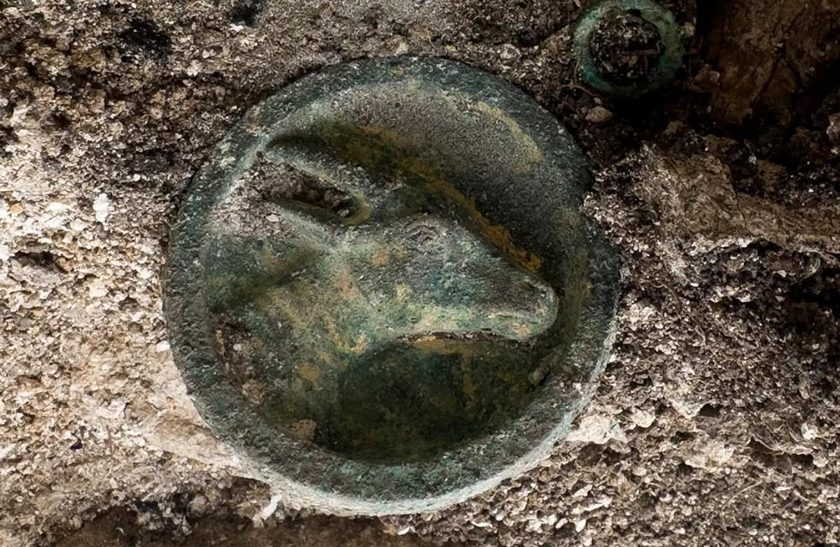 Vị chiến binh này được chôn cất cùng với đầu, chân và da ngựa, trong khi phần còn lại của con vật dường như đã bị tiêu hủy trong một nghi lễ tang lễ nào đó. Ảnh: @Hiệp hội Bảo tàng Hungary – Hội Pulszky.