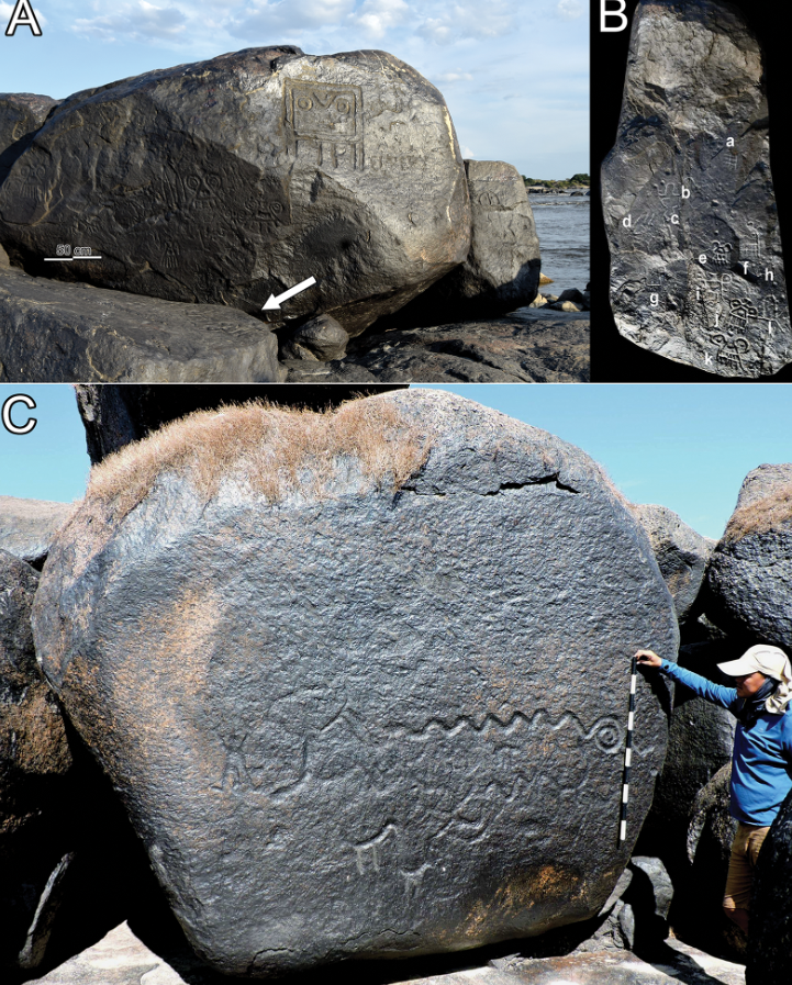 Chúng bao gồm nhiều hình ảnh khác nhau, trong đó có hình ảnh những con rắn khổng lồ, hình người và những con rết khổng lồ vùng Amazon. Ảnh: @ Juanita Escobar.