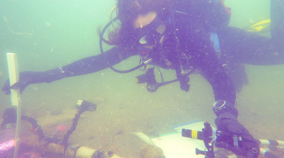 Khi tiến hành khai quật khảo cổ ngoài khơi bờ biển Florida, các chuyên gia đến từ Cục Nghiên cứu Khảo cổ học Mỹ bất ngờ tìm thấy quần thể di tích cổ xưa kỳ lạ. Ảnh: @Cục Nghiên cứu Khảo cổ học Mỹ.