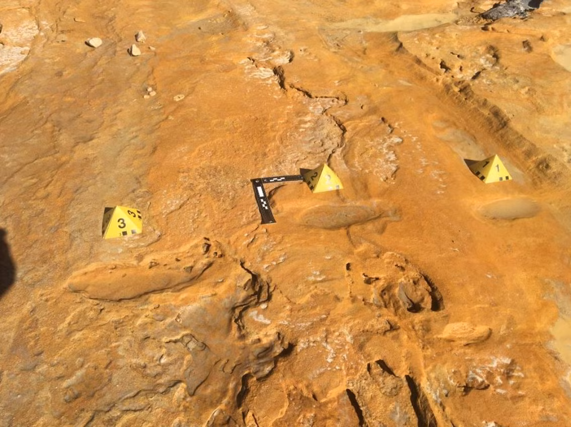 Nhưng những cơn bão nhiệt đới mạnh nhiều năm qua đã cuốn trôi phần lớn lượng cát đó, để lộ những dấu chân được bảo tồn của loài voi, thậm chí của cả người Neanderthal cổ đại. Ảnh: @Neto de Carvalho.