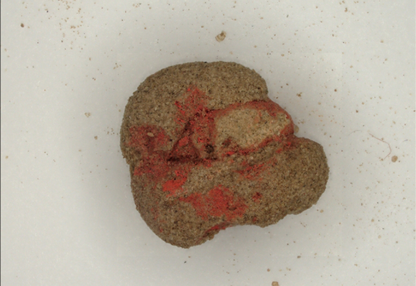 Thông qua phân tích chi tiết, các nhà khoa học đã xác nhận rằng, chất tạo màu này là chu sa – một loại sunfua thủy ngân nổi tiếng với màu đỏ rực rỡ và độc tính của nó. Ảnh: @Viện Khảo cổ học Kyiv.