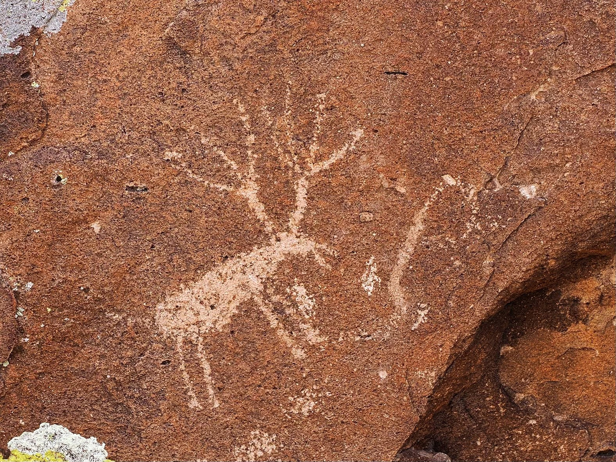 Theo Tạp chí Khảo cổ học Cambridge, sự thay đổi này không chỉ thể hiện sự thay đổi trong phong cách nghệ thuật, mà còn cho thấy những biến đổi đáng kể trong môi trường, sự di chuyển của con người và bản sắc văn hóa. Ảnh: @Tạp chí Khảo cổ học Cambridge.