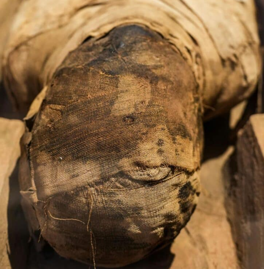 Phát hiện này mang đến cơ hội đặc biệt để nghiên cứu các tập tục mai táng cổ đại và cung cấp dữ liệu mới về cách người dân trong khu vực này đối xử với người chết cách đây hơn hai thiên niên kỷ trước. Ảnh: @Bộ Văn hóa Ý.