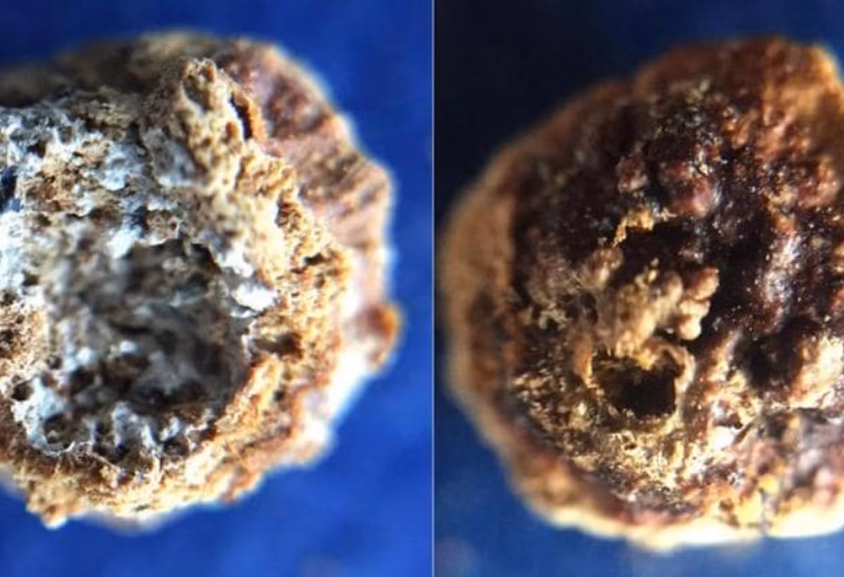 Giáo sư Hóa học Hữu cơ José Rafael Ruiz Arrebola nhấn mạnh rằng, việc sử dụng dolomit (một loại cacbon) làm nút chặn chiếc lọ chính là chìa khóa cho tình trạng bảo quản tuyệt vời của cặn nước hoa bên trong. Ảnh: @Đại học Cordoba.