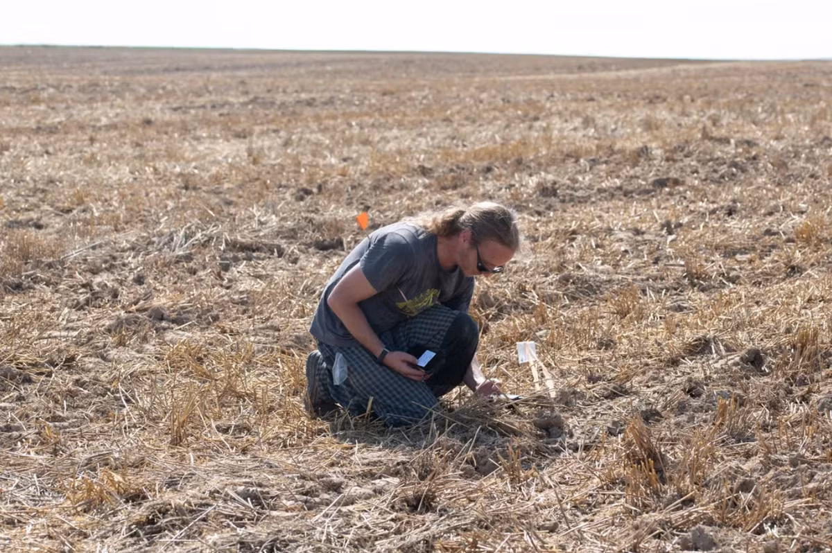 Khi tiến hành khai quật tại vùng Pilsen, phía bắc Cộng hòa Séc, các chuyên gia đến từ Bảo Tàng Mariánská Týnice bất ngờ tìm thấy một kho báu cổ xưa khổng lồ. Ảnh: @Bảo Tàng Mariánská Týnice.