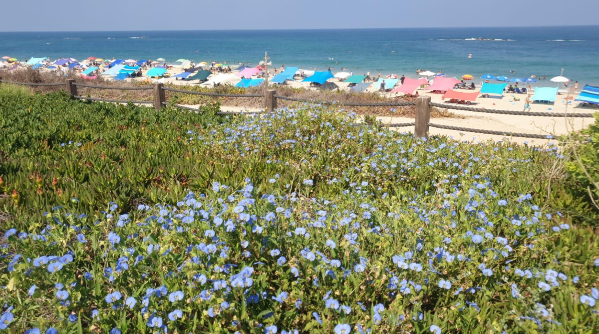 Trong quá trình xây dựng tại Công viên quốc gia Palmachim Beach ở Israel, đội ngũ công nhân công trình cùng máy đào đất đã tìm thấy một hang động chôn cất tiền sử. Ảnh: @ The Times of Israel.