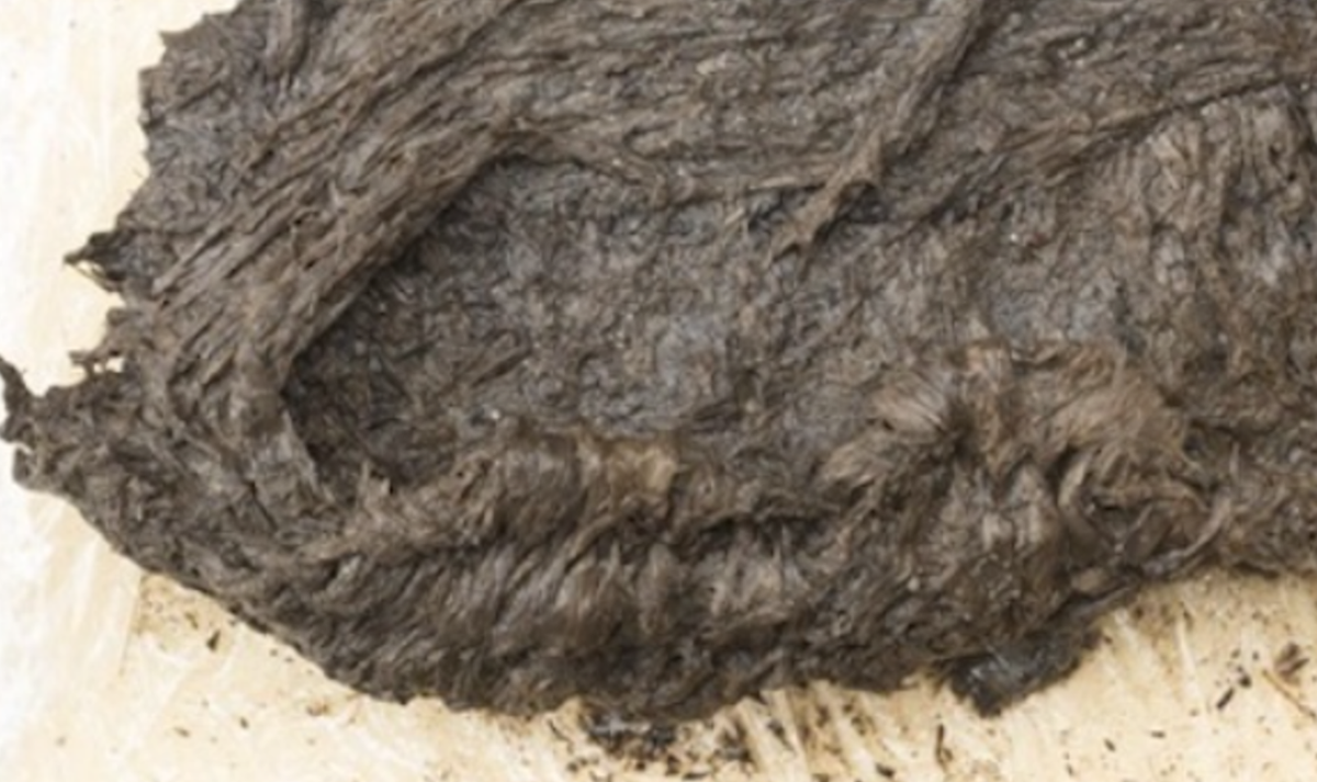 Nó được làm từ những mảnh chiếu đan từ vỏ cây. Ảnh: @hãng tin SDA-ATS.