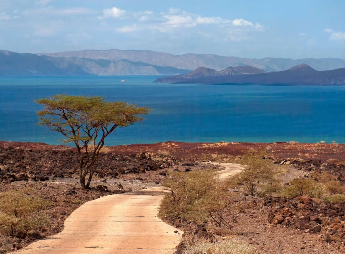 Một nhóm các nhà nghiên cứu quốc tế đến từ trường Đại học Stony Brook đã thực hiện một khám phá đột phá trong lĩnh vực cổ sinh vật học loài người. Ảnh: @Đại học Stony Brook.