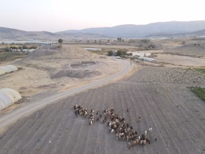 Ngoài ra, tại nơi này, nhóm khảo cổ học còn tìm thấy hai hiện vật cổ vô cùng quan trọng. Ảnh: @Đại học Coimbra.