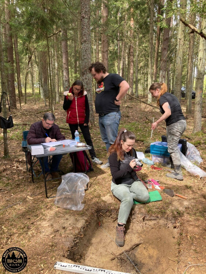 Đó là một kho báu cổ ẩn giấu dưới thảm thực vật. Ảnh: @Wielki Las.