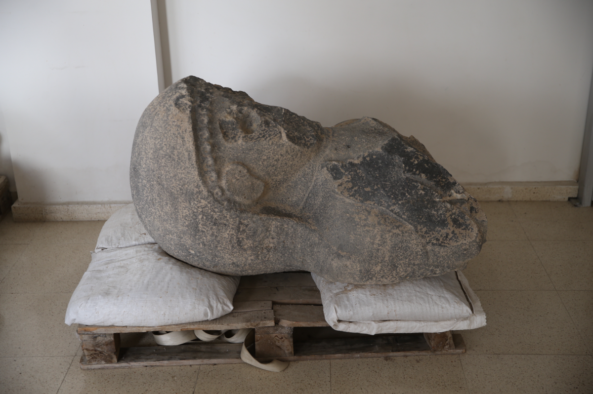 Phần chính diện khuôn mặt của bức tượng bị vỡ hoàn toàn, và phần dưới ngực bị mất. Ảnh: @Đại học Toronto.