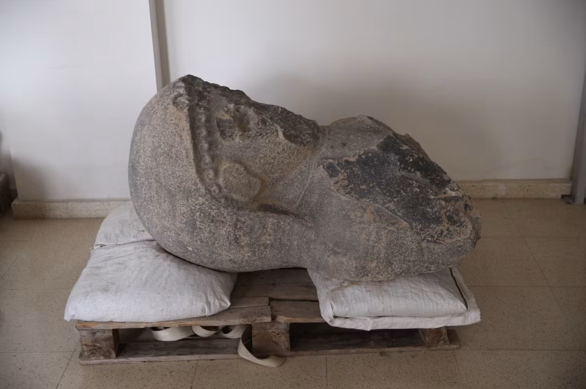 Phần chính diện khuôn mặt của bức tượng bị vỡ hoàn toàn, và phần dưới ngực bị mất. Ảnh: @Đại học Toronto.