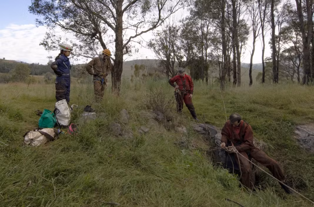 Khi tiến hành khai quật tại Hang động Nightshade ở Vùng Gunaikurnai, phía bắc thị trấn Buchan, Victoria, Úc, các nhà cổ sinh vật học đến từ Viện nghiên cứu Bảo tàng Victoria đã bất ngờ phát hiện ra hiện vật cổ xưa kỳ lạ. Ảnh: @Viện nghiên cứu Bảo tàng Victoria.