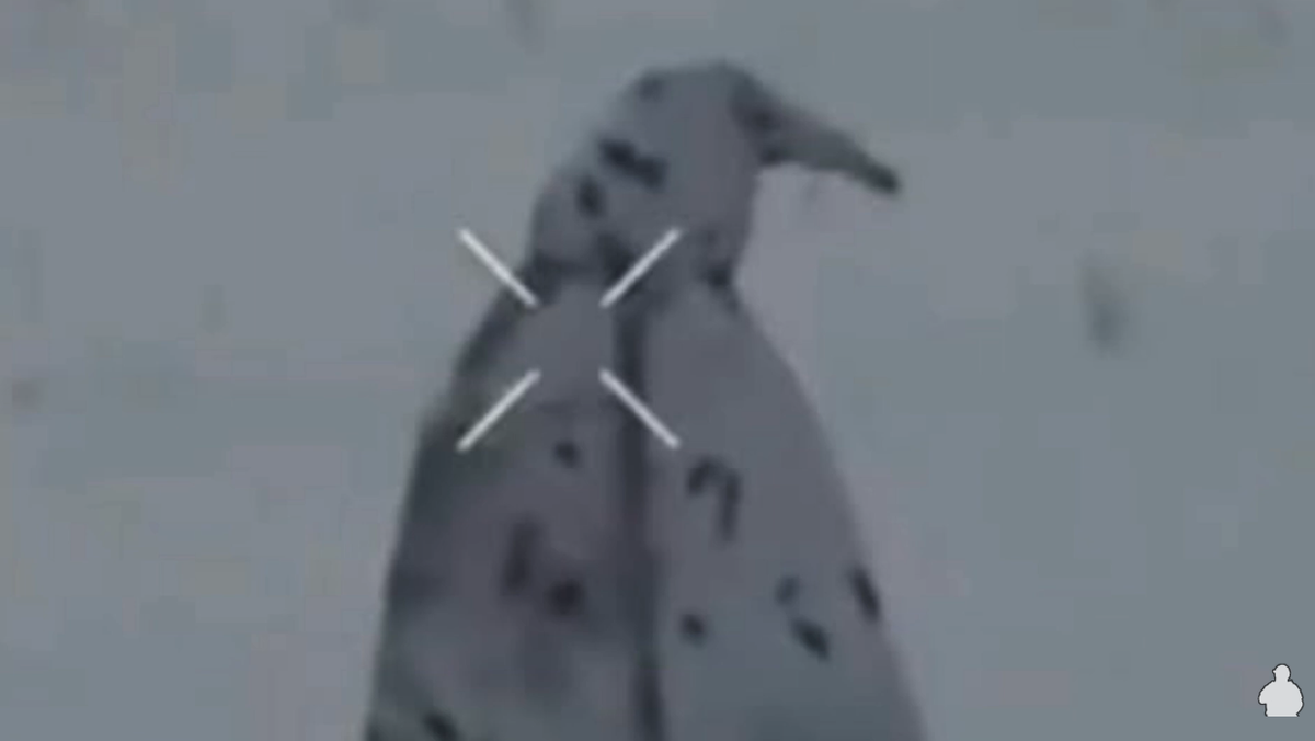 Vụ việc đã làm nổi bật những hạn chế của việc ngụy trang bằng hình ảnh trước hoạt động giám sát bằng máy bay không người lái do các đơn vị Ukraine sử dụng ở tiền tuyến. Ảnh: @Defence_blog.