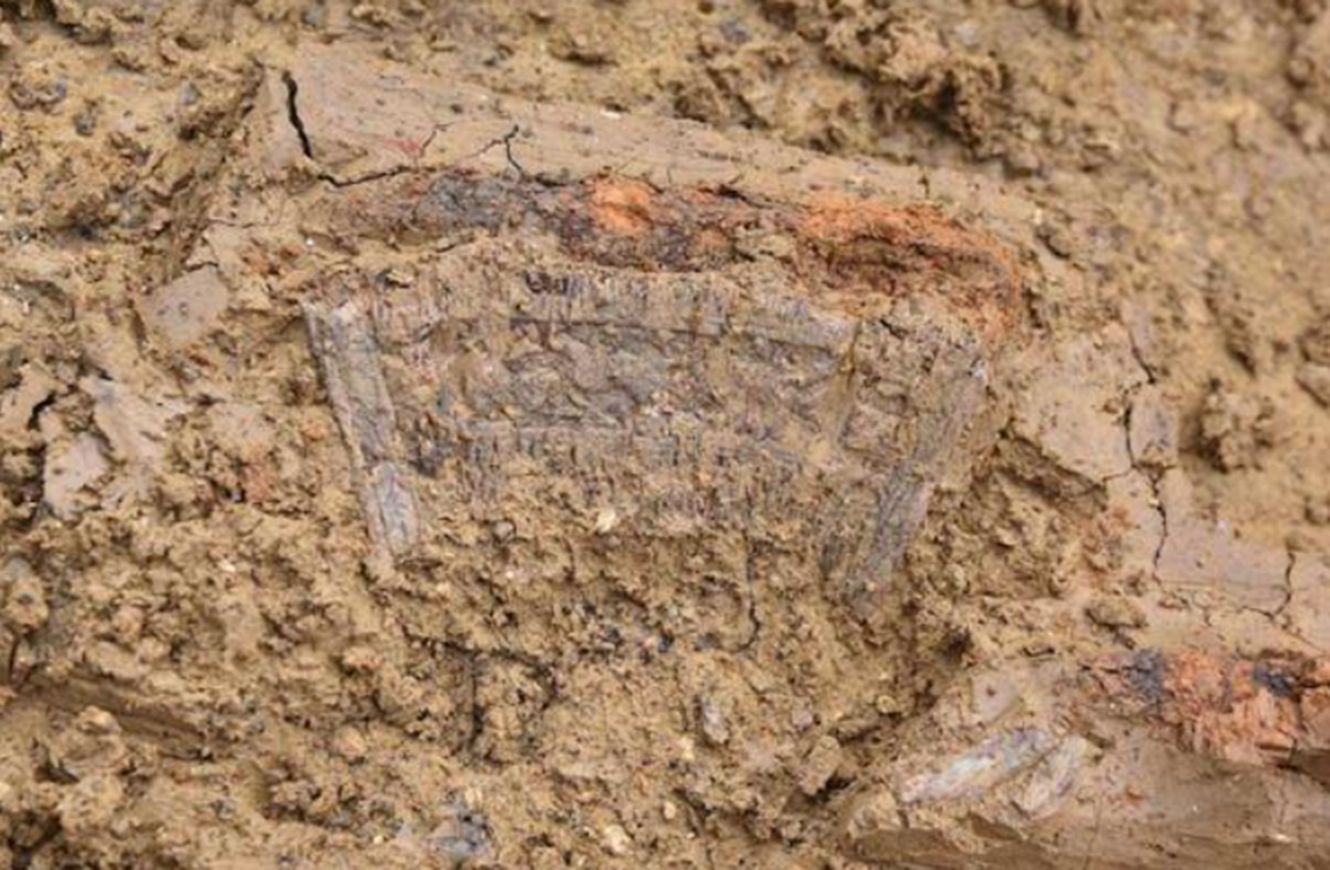 Giáo sư Dipl.-Ing. Mathias Pfeil cho biết: “Những hiện vật này ắt hẳn phải cực kỳ xa xỉ vào thời điểm đó”. Ảnh: @BLfD.