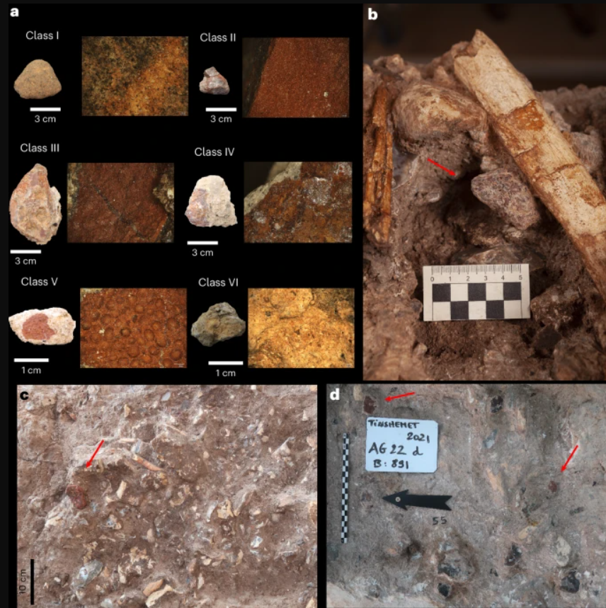 Tại đây, những di hài được đặt cẩn thận trong những ngôi mộ nhỏ và phủ một lớp sắc tố đỏ, cho thấy rằng, người tiền sử đã thực hành nghi thức chôn cất kỳ lạ này cách đây gần 100.000 năm trước. Ảnh: @Đại học Tel Aviv.