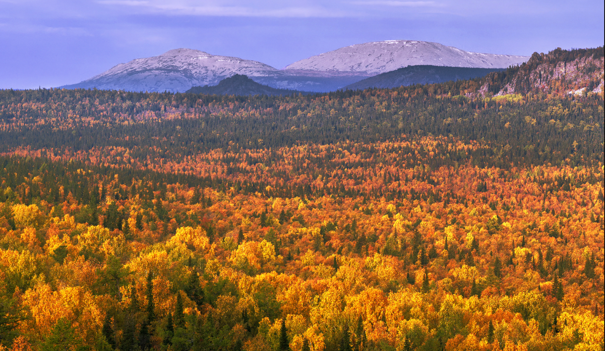Những vùng đất rộng lớn và lộng gió của thảo nguyên Orenburg, dọc theo rìa phía nam dãy núi Ural của Nga, đã lưu giữ qua hàng thiên niên kỷ những bí mật của các nền văn hóa du mục từng thống trị nơi đây. Ảnh: @Viện Hàn lâm Khoa học Nga.