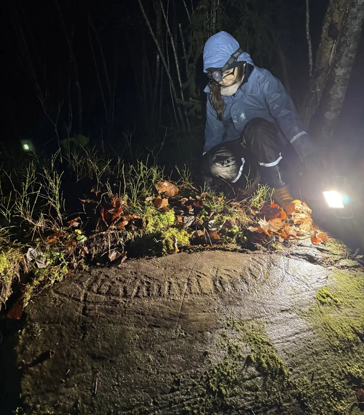 Các nhà nghiên cứu cho rằng, những con tàu này có thể mang ý nghĩa biểu tượng sâu sắc. Hình ảnh thường được liên kết với nghề đi biển và thương mại, nhưng cũng liên quan đến những chuyến hành trình nghi lễ và tín ngưỡng về mặt trời và thế giới bên kia. Ảnh: @Tormod Fjeld.