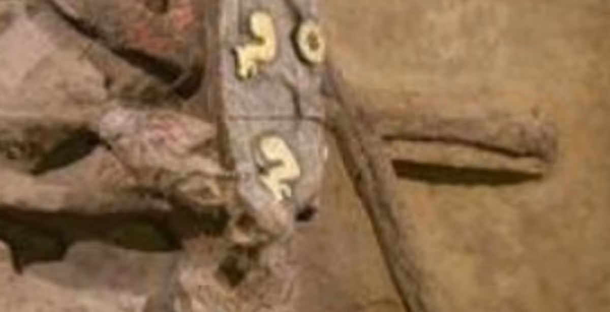 Các nhà khảo cổ nhận thấy bề mặt xe được chạm khắc nhiều hoa văn tinh xảo. Hai huy hiệu rồng dát vàng được tìm thấy cùng với xe. Ảnh: @Viện Hàn lâm Khoa học Xã hội Trung Quốc.