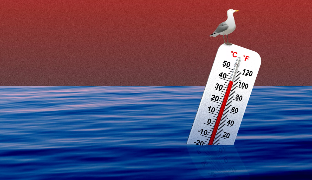 Theo Kỹ sư Erik Engeberg, việc theo dõi nhiệt độ nước biển và các dữ liệu khác cũng có thể có lợi cho con người, bằng cách cảnh báo về tình hình xấu đi. Đại dương ấm hơn có thể khiến bão mạnh hơn và có sức tàn phá lớn hơn. Nước biển ấm hơn cũng làm tan băng biển. Nước tan chảy đó làm tăng mực nước biển. Và mực nước biển dâng cao có thể dẫn đến lũ lụt ven biển, hoặc làm biến mất hoàn toàn các đảo thấp. Ảnh: @Axios.