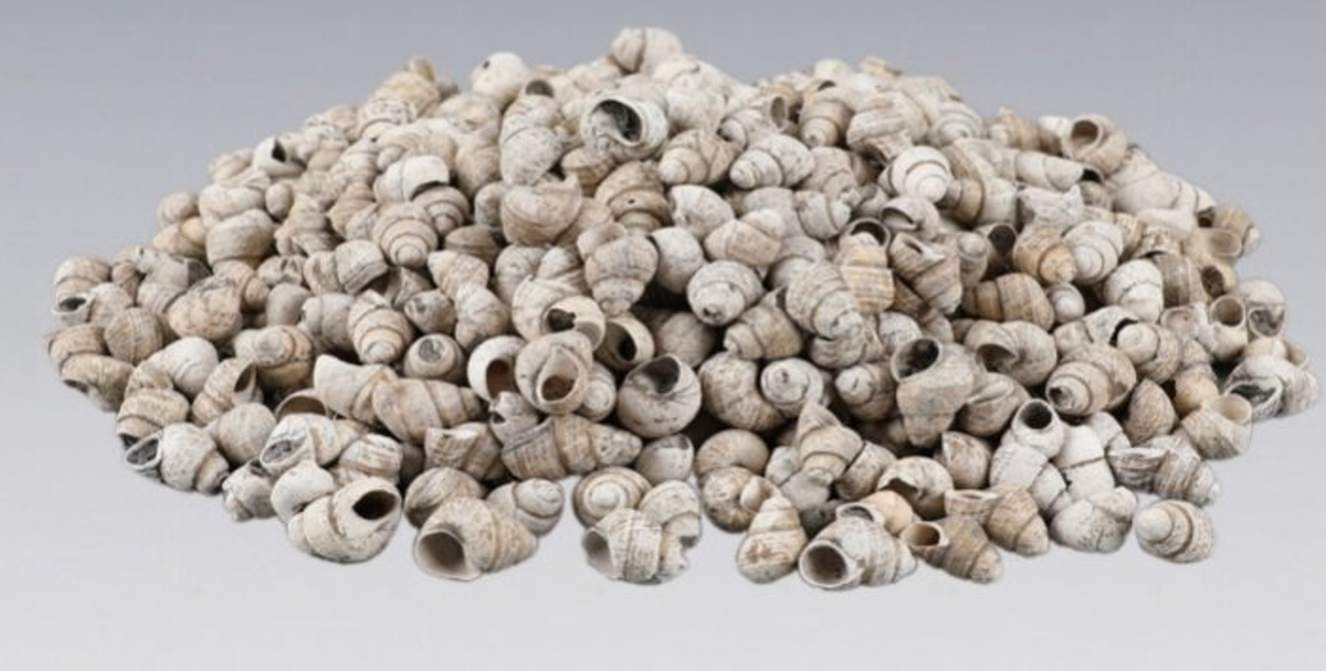 Theo nhà khảo cổ học trưởng Hu Yingfang, điều kiện ngập nước đã bảo tồn một lượng lớn vật liệu hữu cơ, chứa đựng những thông tin quan trọng về môi trường và văn hóa, hữu ích cho việc tái hiện cuộc sống của cư dân cổ đại. Ảnh: @DailyBeijing.