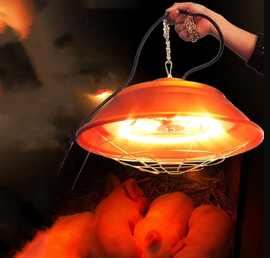 Vì vậy, Tiến sĩ Hyoung-il Kim đến từ trường Đại học Yonsei, Hàn Quốc đã nhắm đến một phương pháp đơn giản hơn nhiều, chỉ cần một nguồn sáng khả kiến có khả năng tạo ra nhiệt - chẳng hạn như bóng đèn halogen hoặc bóng đèn sợi đốt, cùng chụp đèn được phủ chất xúc tác nhiệt thì có thể biến đổi các chất ô nhiễm không khí trong nhà thành các hợp chất vô hại. Ảnh: @amazon.