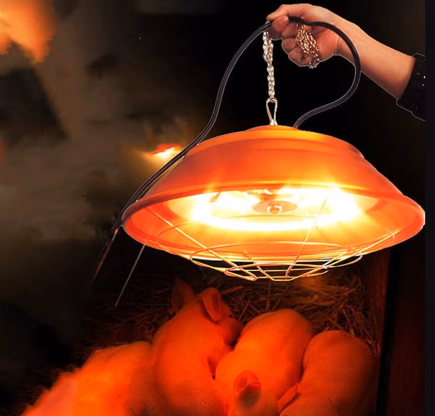 Vì vậy, Tiến sĩ Hyoung-il Kim đến từ trường Đại học Yonsei, Hàn Quốc đã nhắm đến một phương pháp đơn giản hơn nhiều, chỉ cần một nguồn sáng khả kiến có khả năng tạo ra nhiệt - chẳng hạn như bóng đèn halogen hoặc bóng đèn sợi đốt, cùng chụp đèn được phủ chất xúc tác nhiệt thì có thể biến đổi các chất ô nhiễm không khí trong nhà thành các hợp chất vô hại. Ảnh: @amazon.