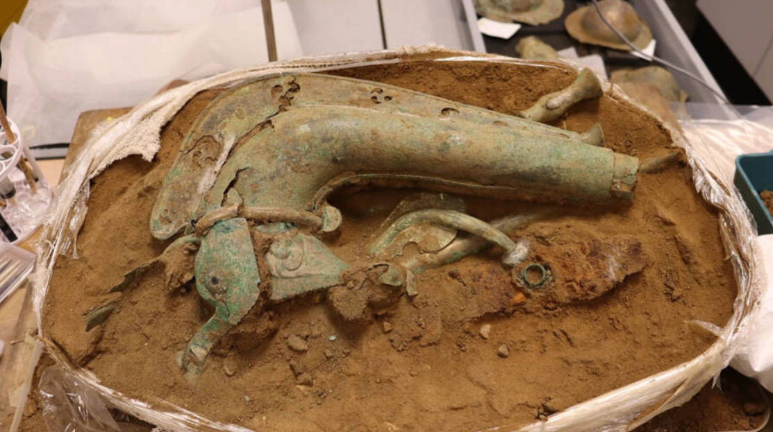 Nhạc cụ này được gọi là kèn carnyx, là mẫu vật hoàn chỉnh nhất chưa từng được tìm thấy ở bất kỳ đâu tại châu Âu. Ảnh: @Dịch vụ Bảo tàng Norfolk.