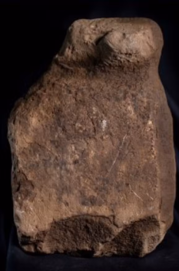 Chúng được chạm khắc bằng một kỹ thuật gọi là đục, bao gồm đục bằng một dụng cụ nhọn. Ảnh: @Bảo Tàng Khảo Cổ Scotland.