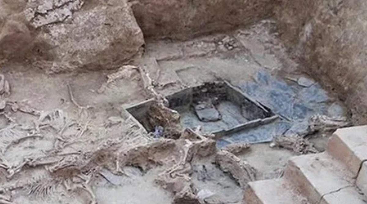 Ngay sau đó, họ đã hiến tế ít nhất 52 con vật theo từng giai đoạn trong sân chính, quy mô khoảng 125 mét vuông. Trong số đó có 41 con ngựa. Ảnh: @Construyendo Tarteso.