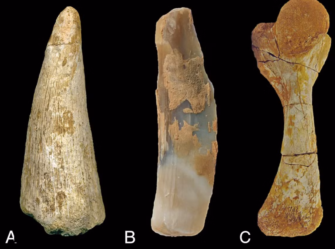 Bên cạnh những phát hiện này, các nhà khảo cổ học còn tìm thấy thêm hài cốt người Thời Kỳ Đồ Đá Mới, với các kiểu chôn cất phản ánh tập tục mai táng thời tiền sử trong khu vực. Ảnh: @Bộ Văn hóa Ả Rập Xê Út.