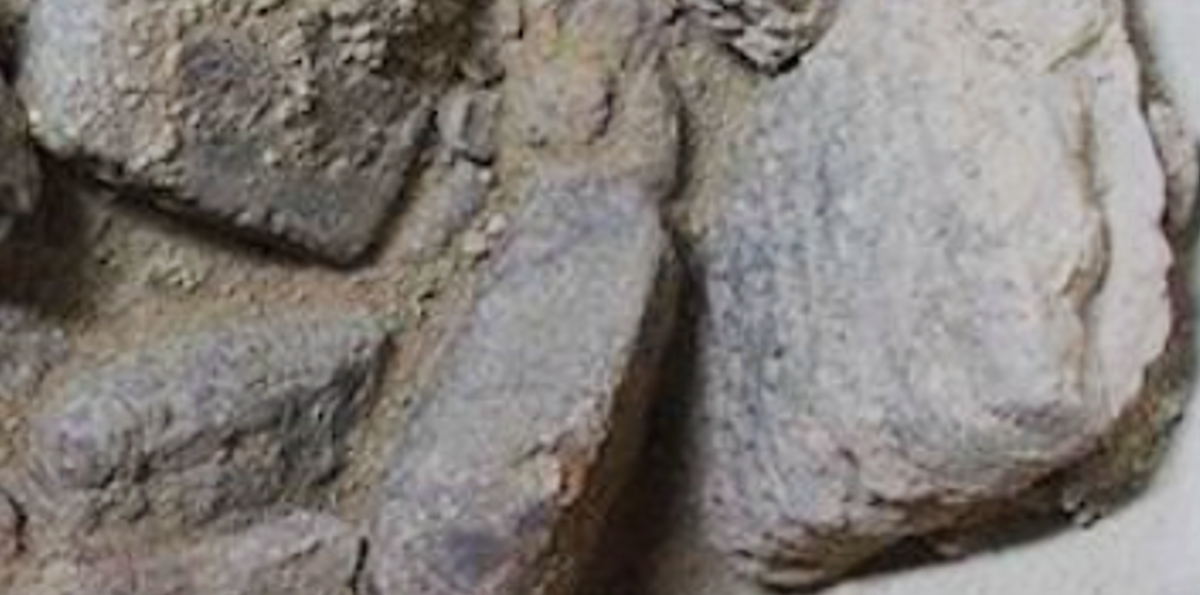 Hiện vẫn chưa rõ liệu những tấm bia này chứa đựng các ghi chép về kinh doanh, pháp luật hay tôn giáo tín ngưỡng. Ảnh: @Sở Khảo cổ Duhok.