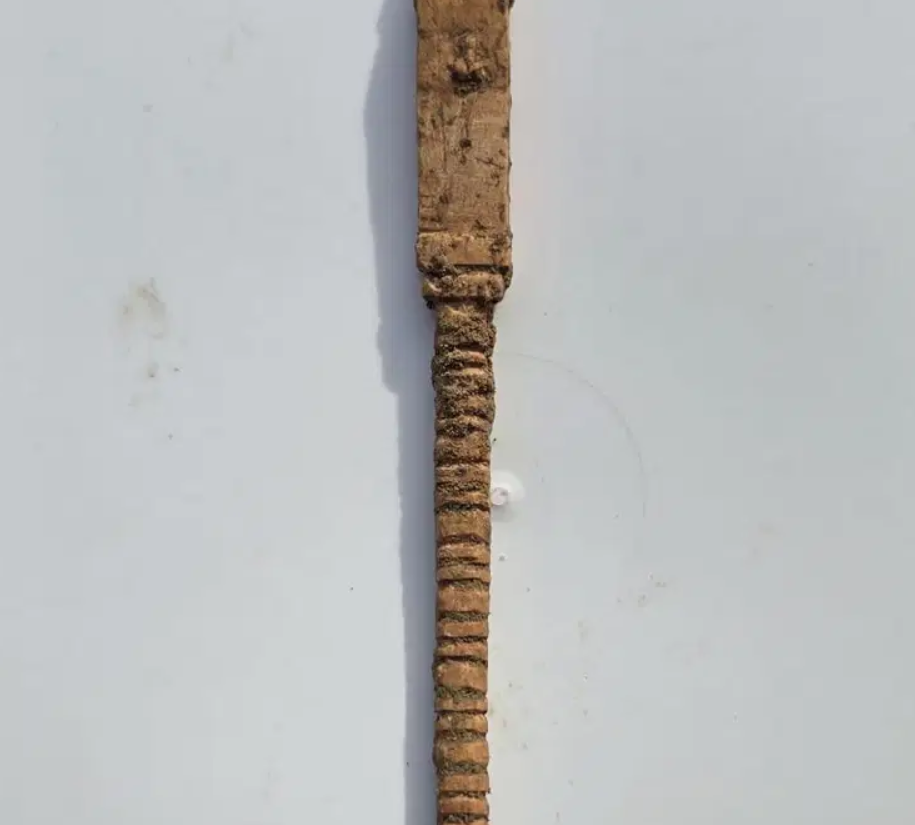 Chiếc bút này là sản phẩm của quá trình chế tác vô cùng tỉ mỉ. Ảnh: @Bảo tàng Thành phố Sicily.