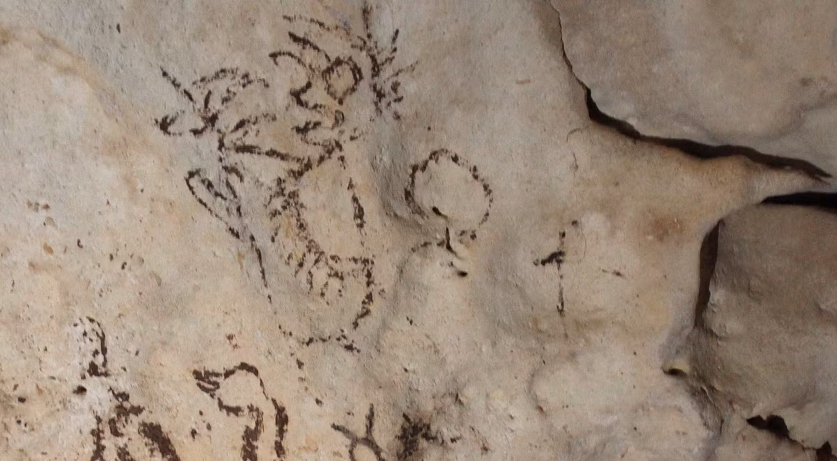 Nhà khảo cổ học Sergio Grosjean Abimerhi cho biết, phát hiện này sẽ cung cấp thông tin mới về phong tục hội họa cổ xưa của người Maya, mặc dù hiện tại họ vẫn chưa biết bức tranh hang động này có ý nghĩa thực sự là gì. Ảnh: @Viện Nhân chủng học và Lịch sử Quốc gia Mexico.